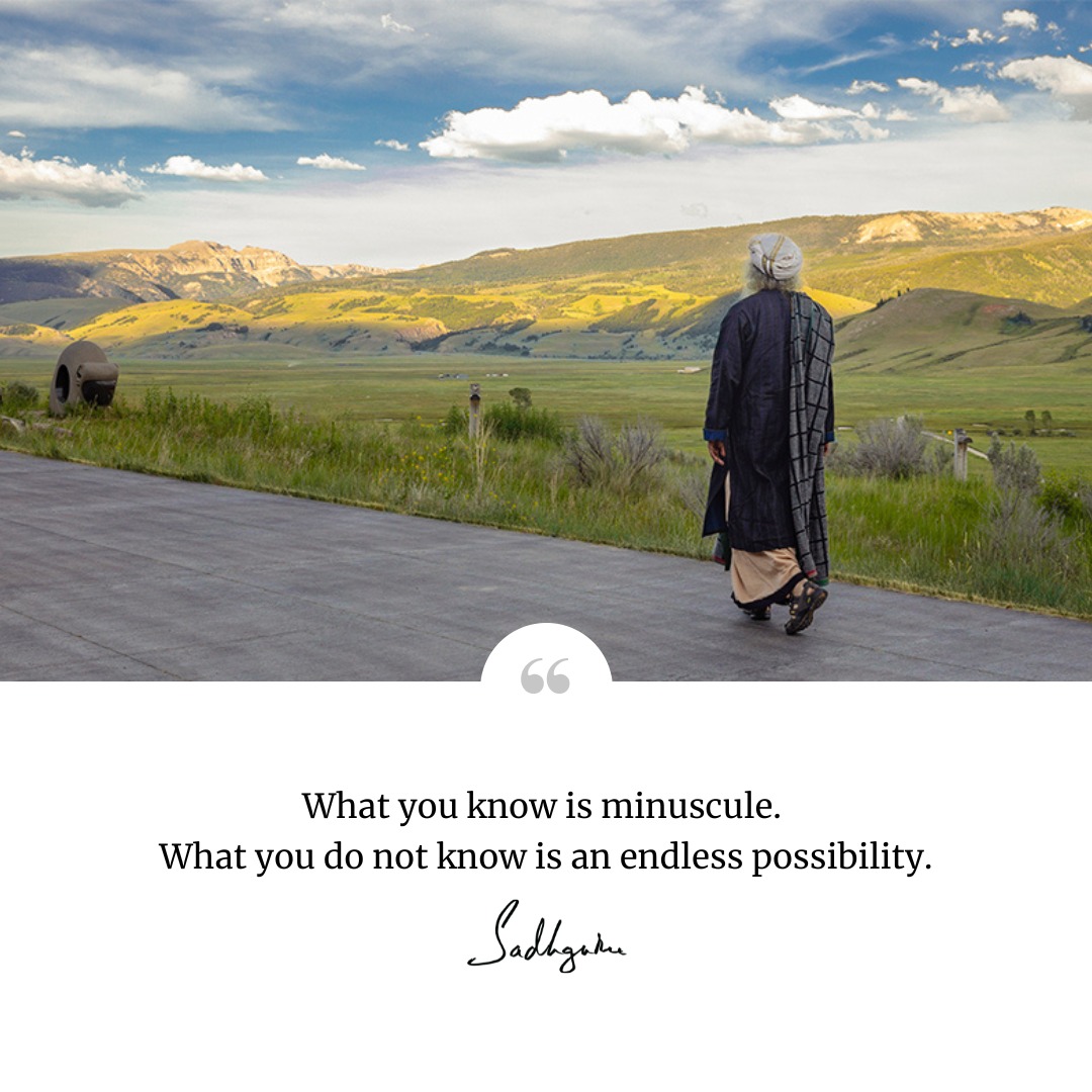 دانستن و ندانستن