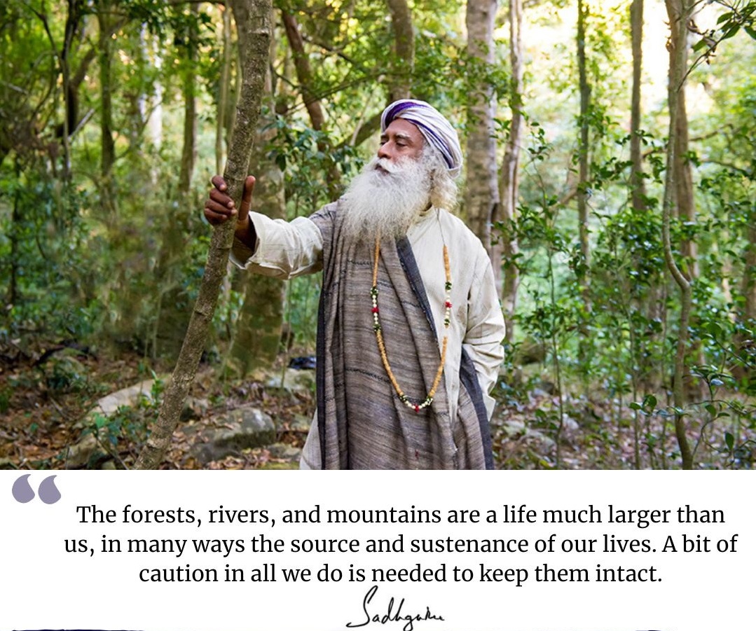 حیات و طبیعت